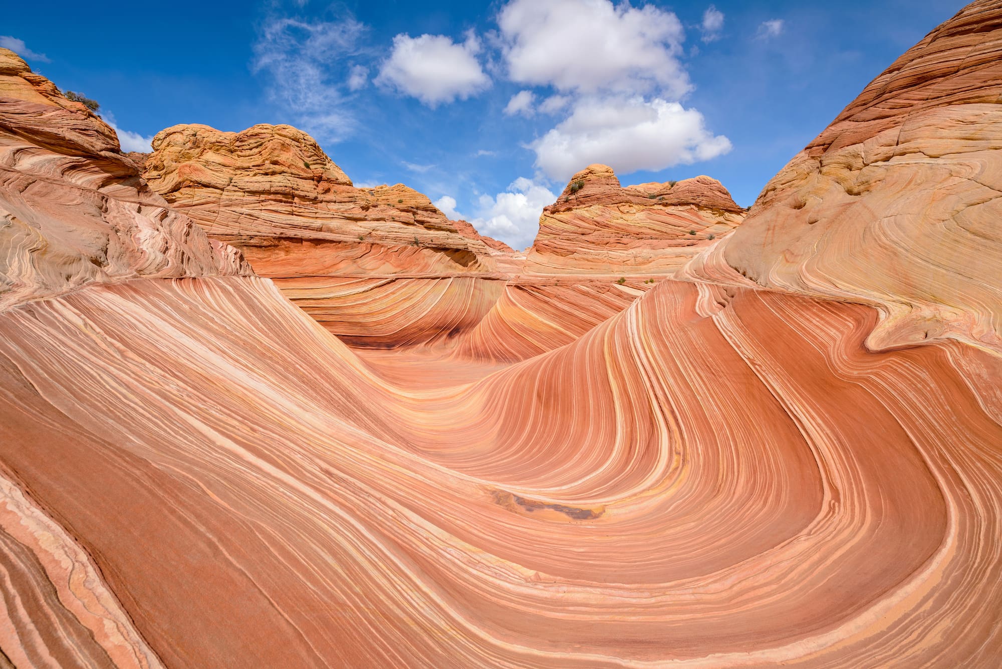 The Wave — sweeping swirling sandstone formation at Coyote Buttes North, Utah